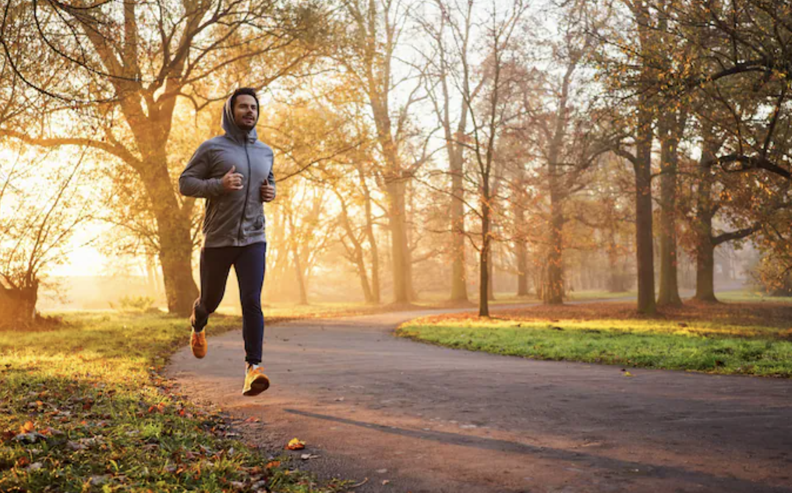 cardiorespiratory Fitness