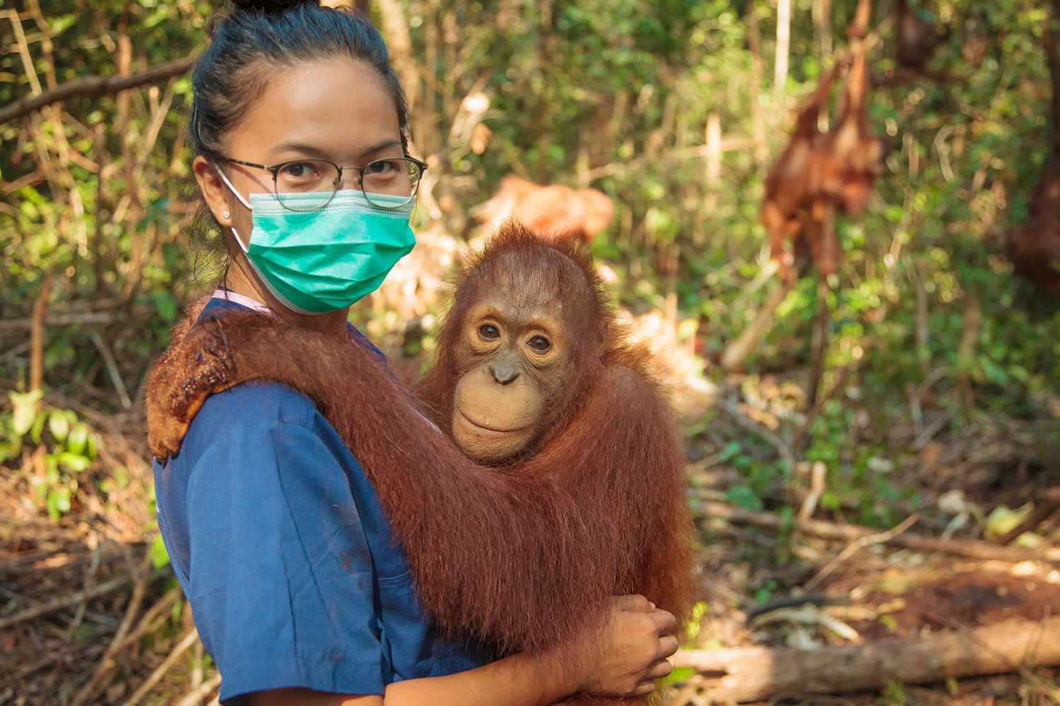 Baby Orangutan and Caretaker