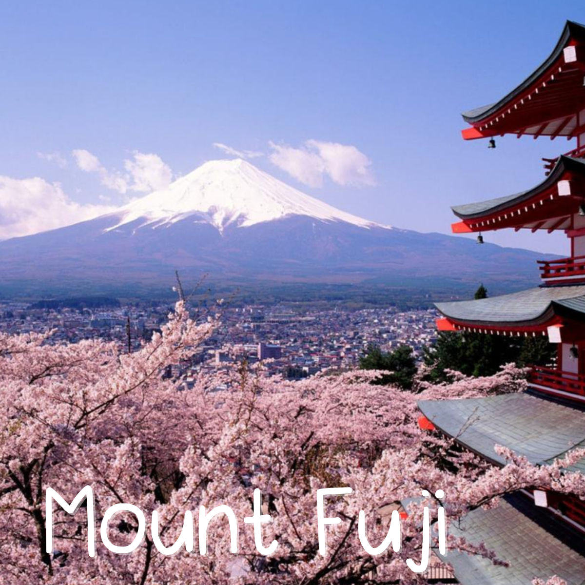 mount fuji views
