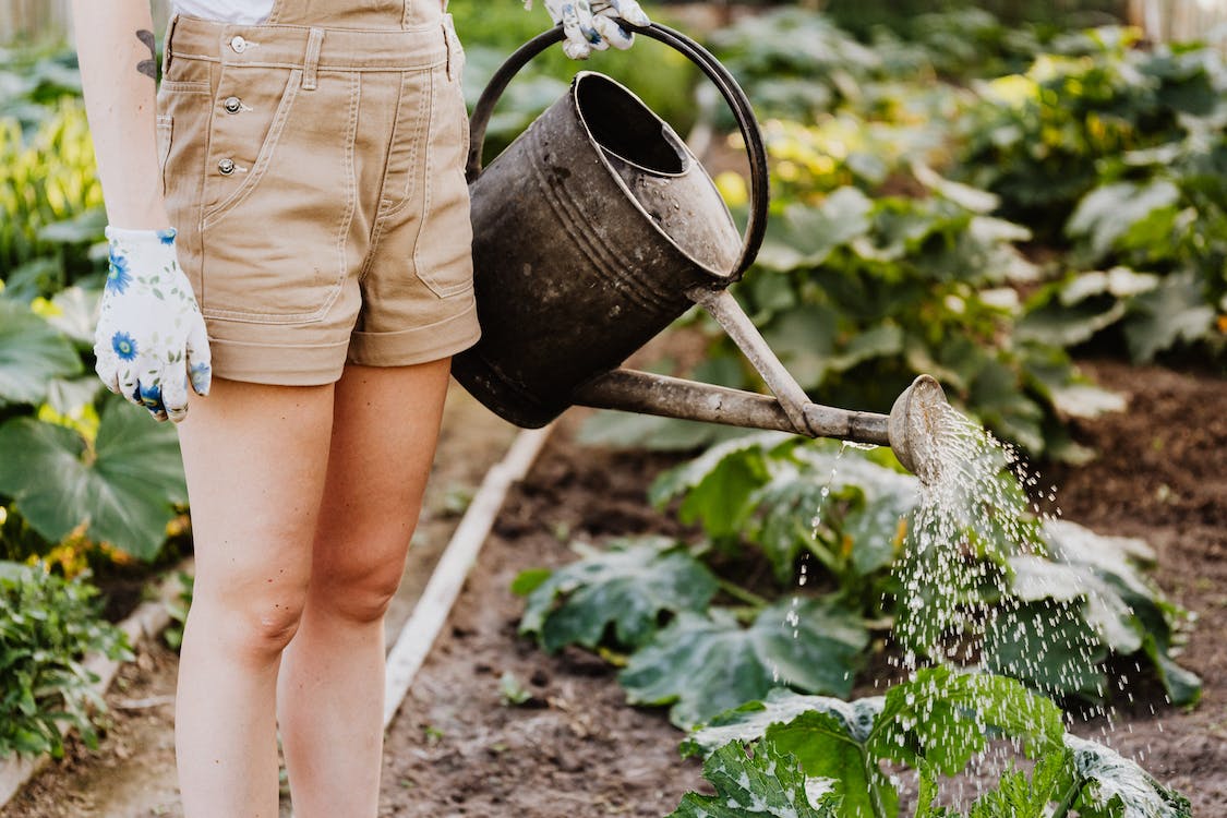 woman watering plants