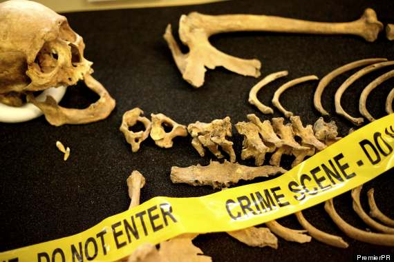 Forensic anthropology