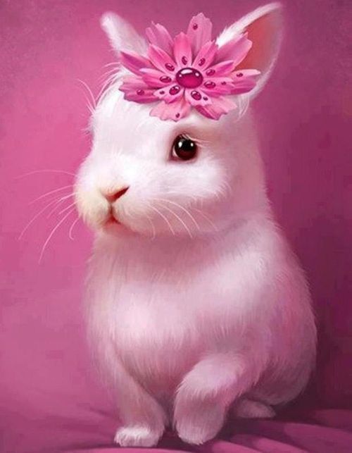animated bunny