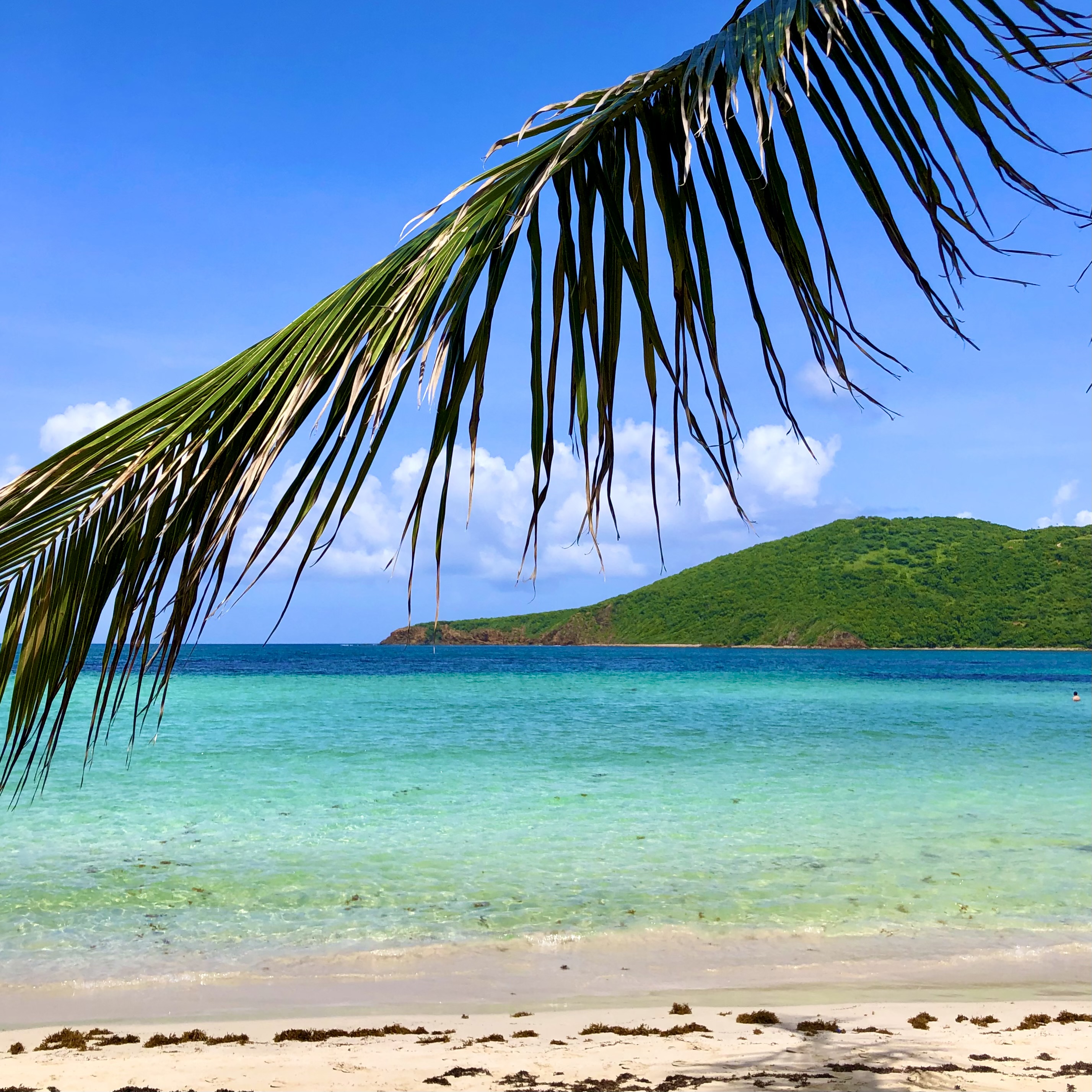 Beach with blue water with mountain in distance. Taken from under palm tree.