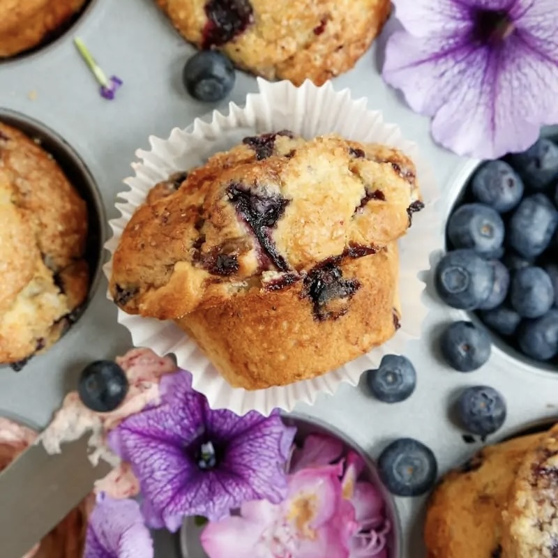 blueberry muffins