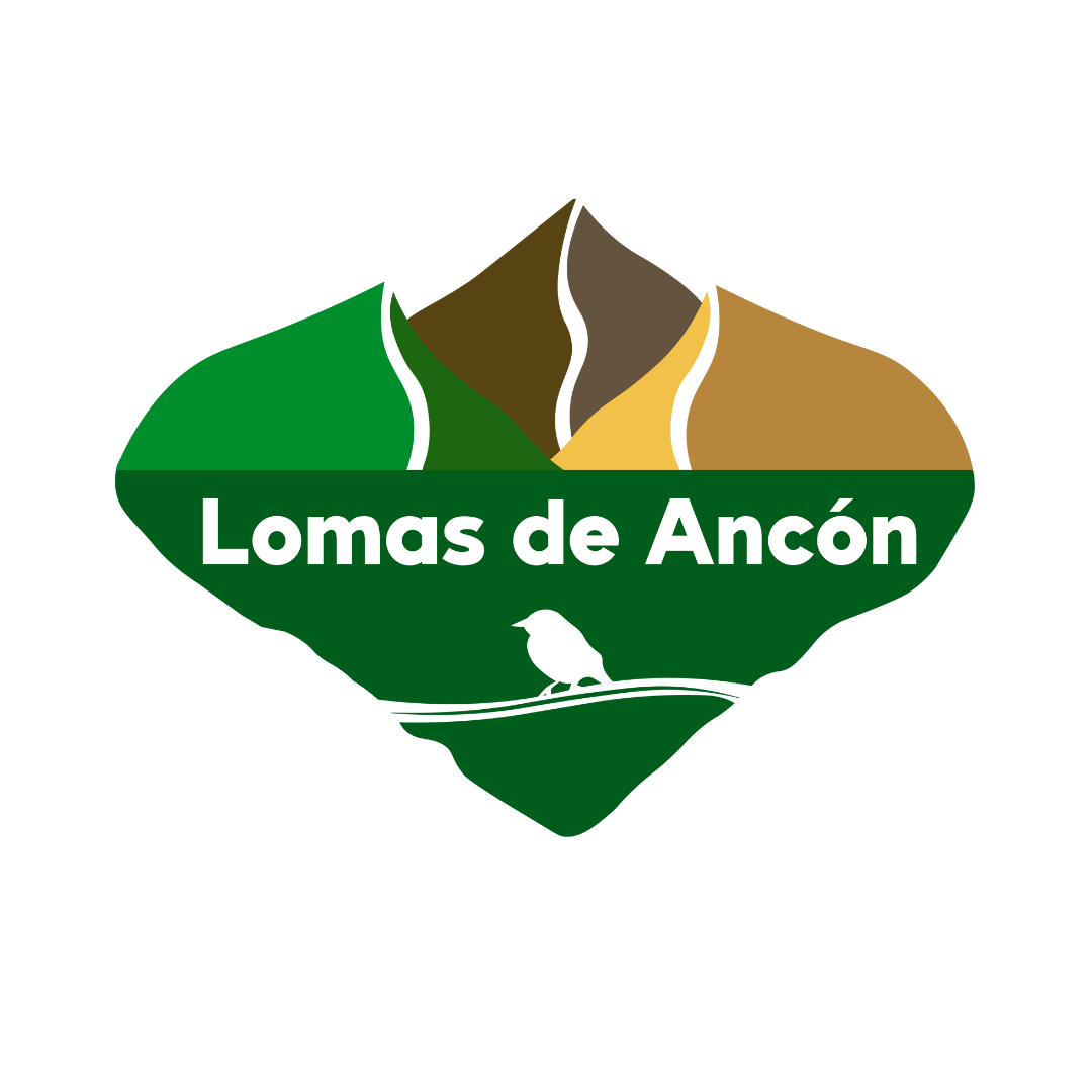 Lomas de Ancon