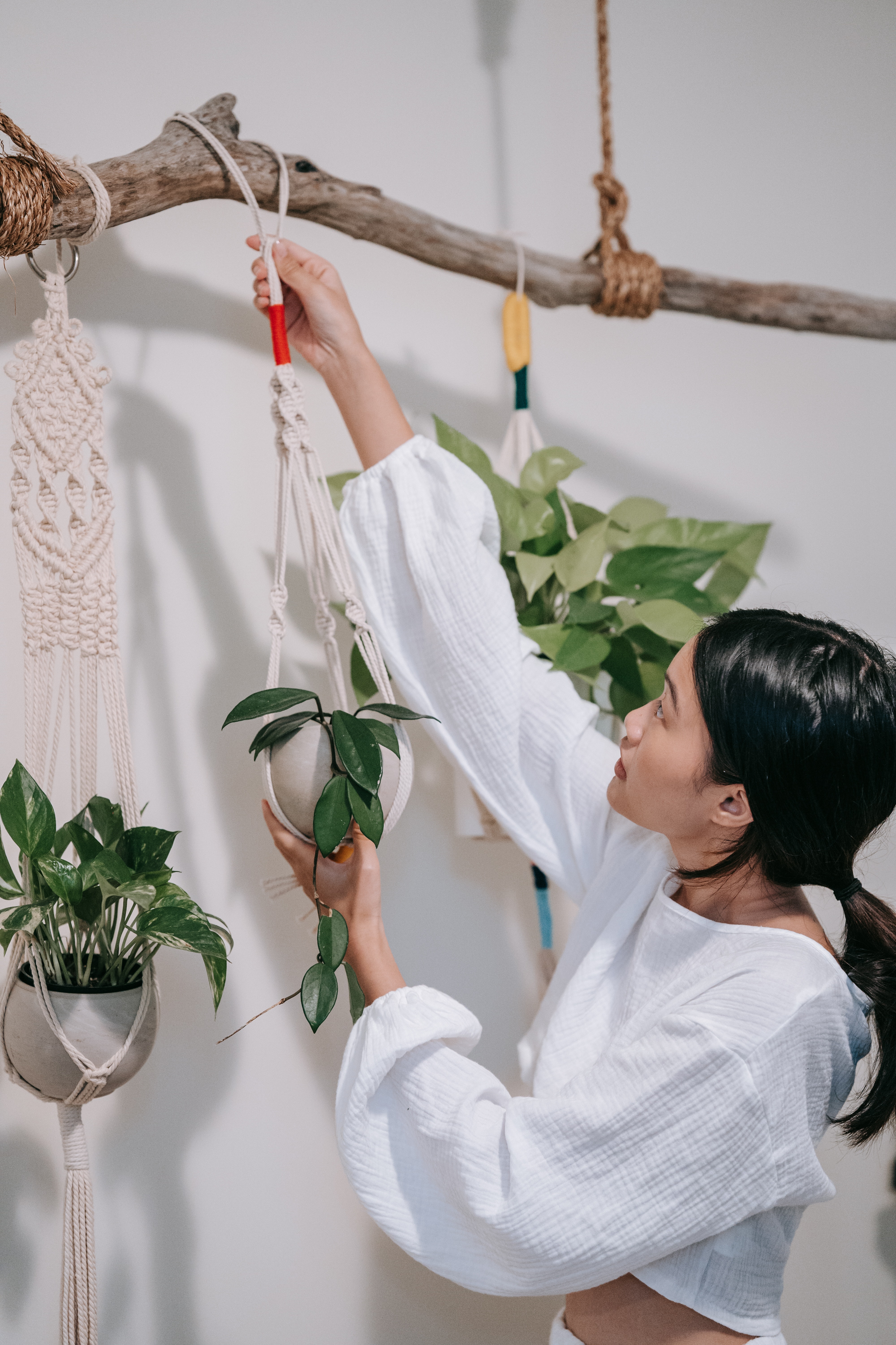 Woman hanging macrame plant hanger