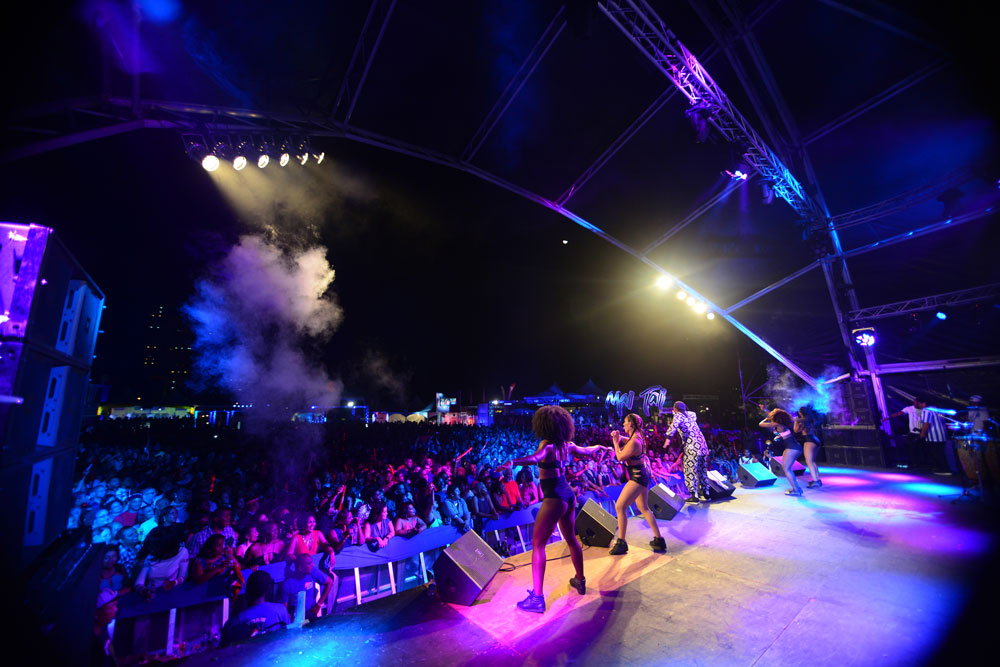 Fetegoers in a concert