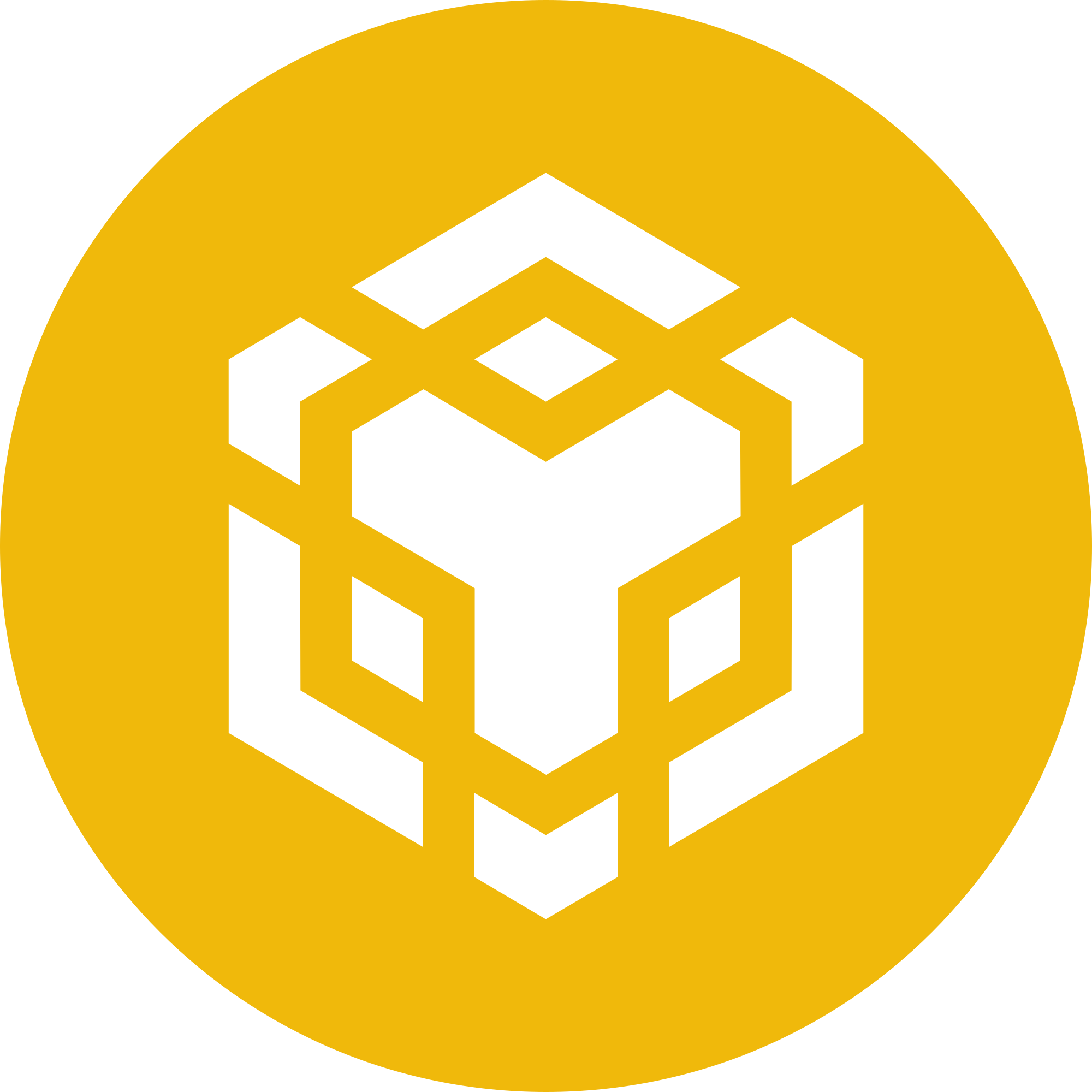 Binance Coin Logo