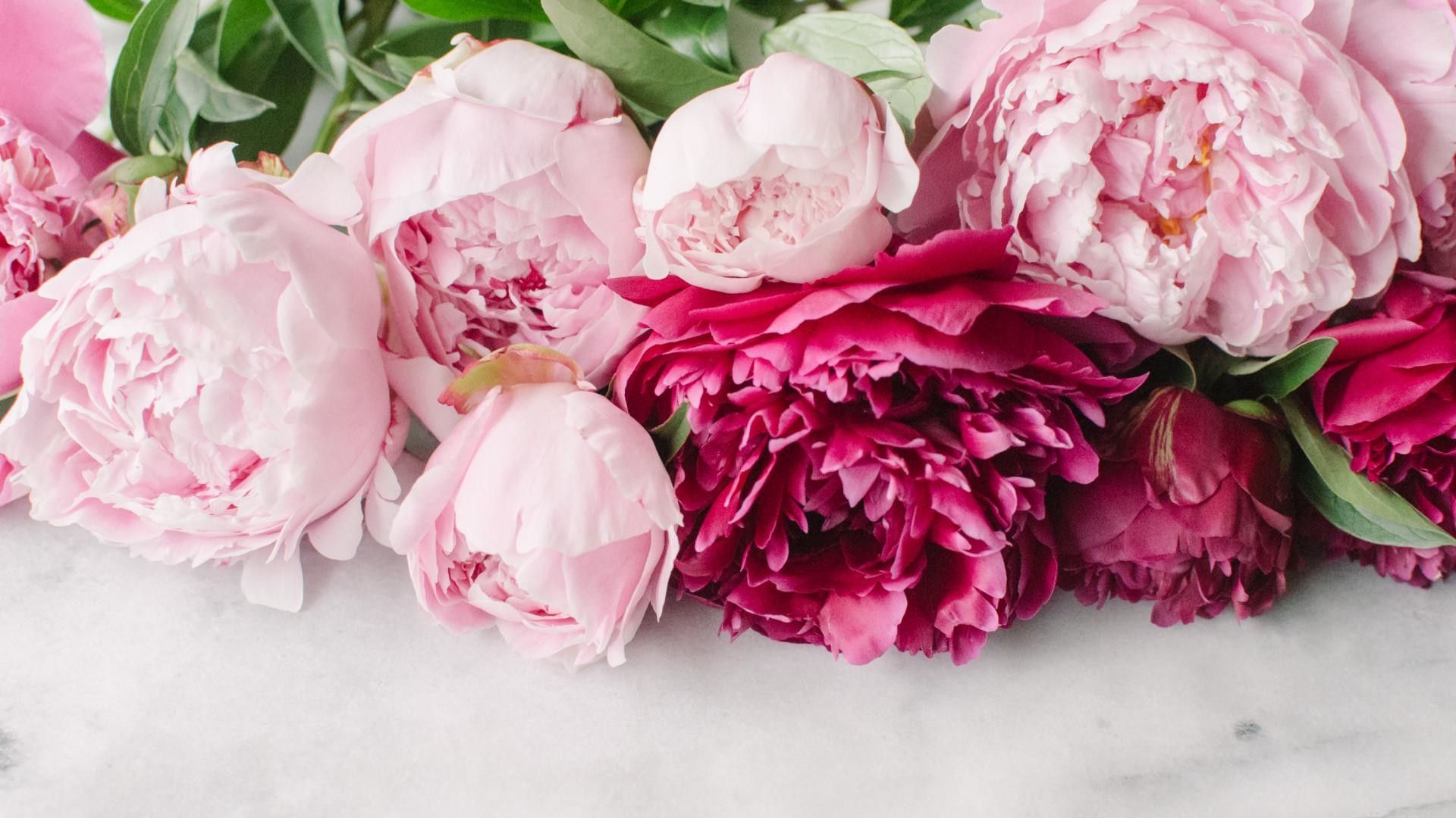 Peonies bouquet