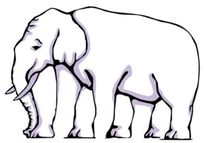 Elephant legs illusion