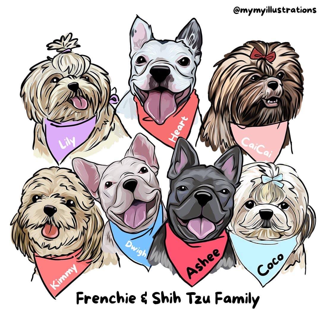 frenchie and shih-tzu dogs