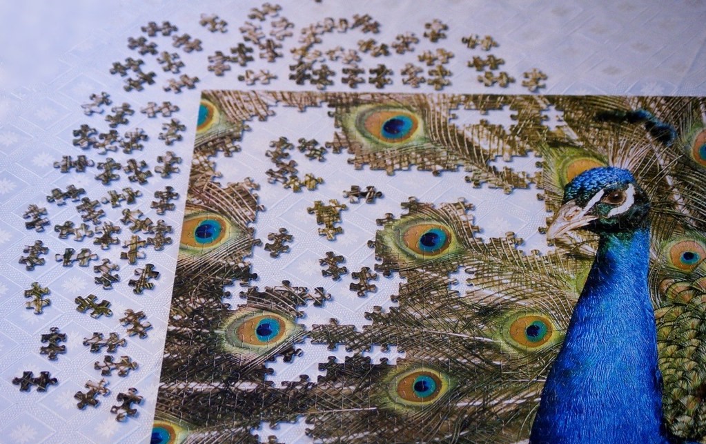 jigsawPhoto1
