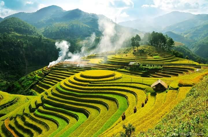 green rice terraces