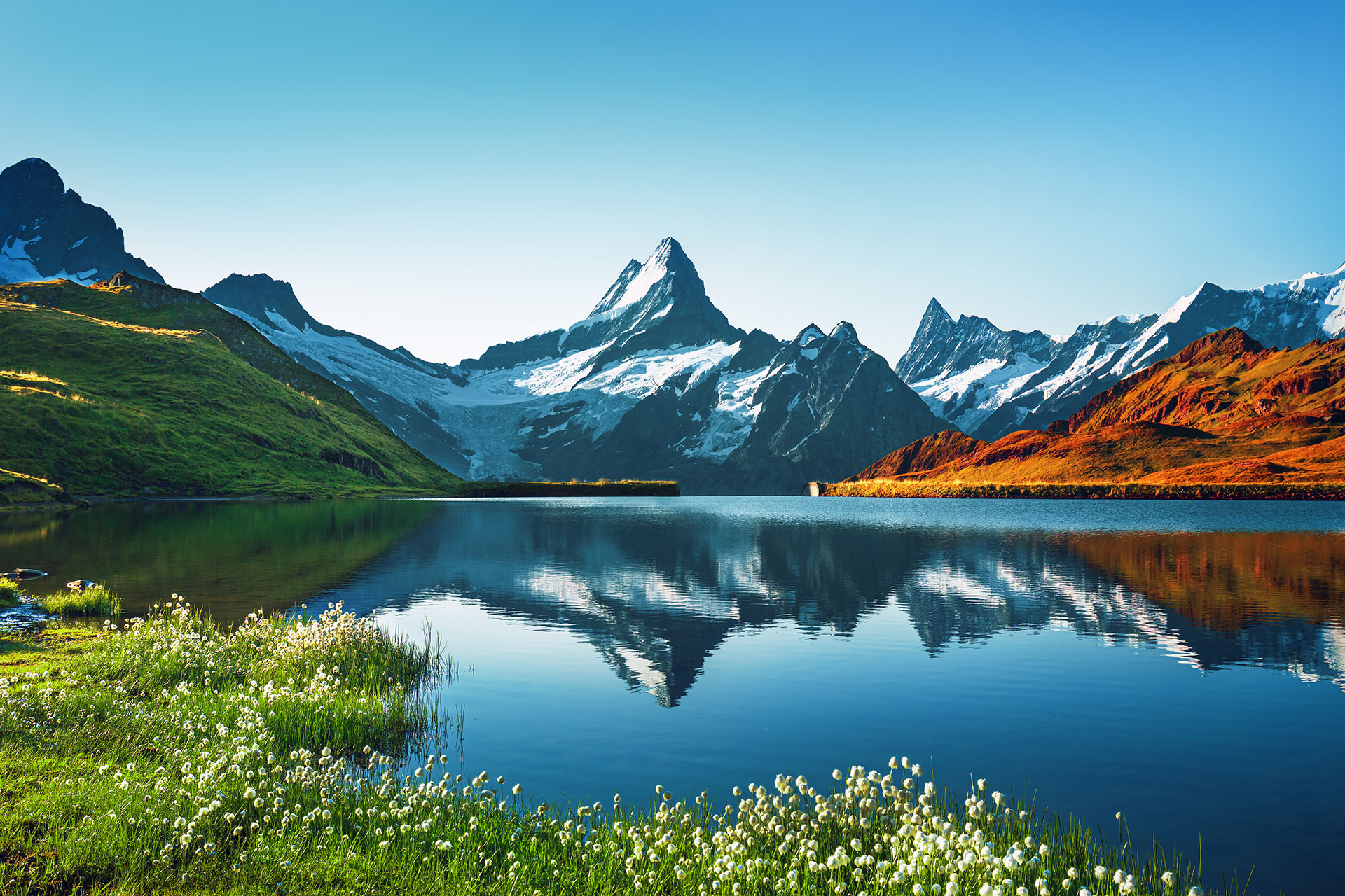Swiss Alps Landscape