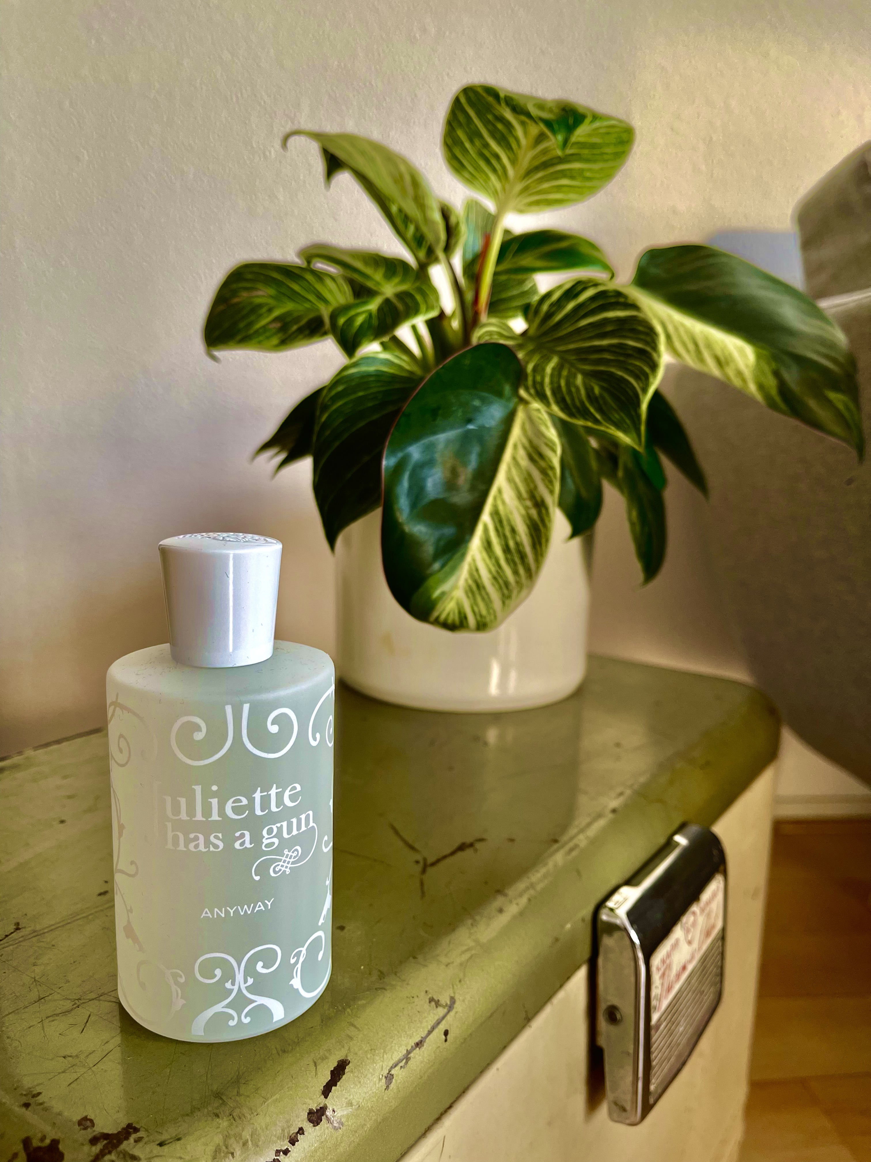 Juliette Has a Gun, Anyway