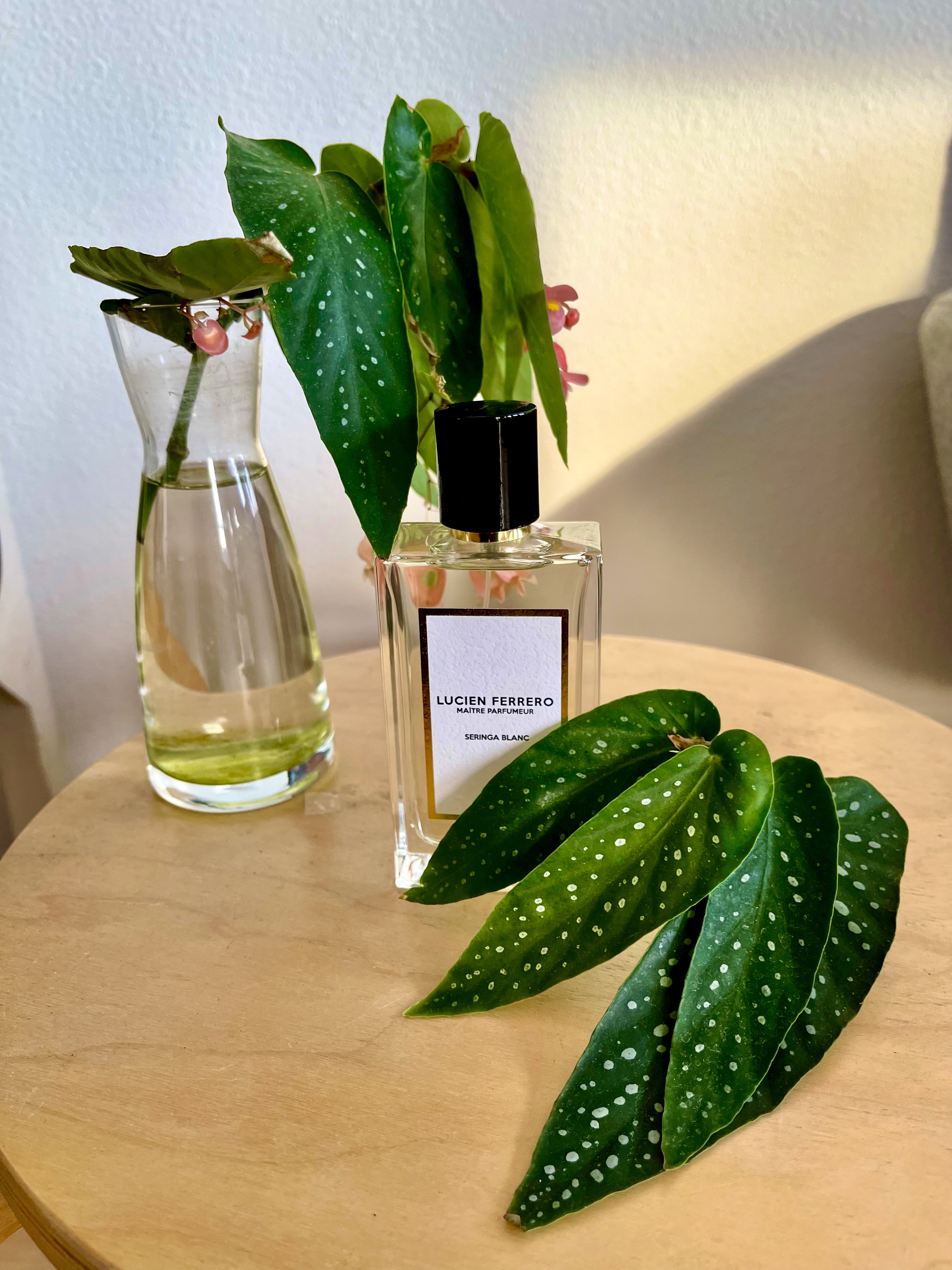 Lucien Ferrero, Seringa Blac