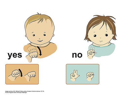 yes no sign language