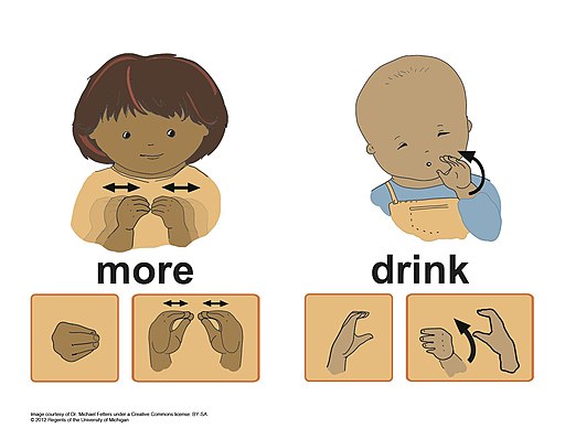 more drink sign language