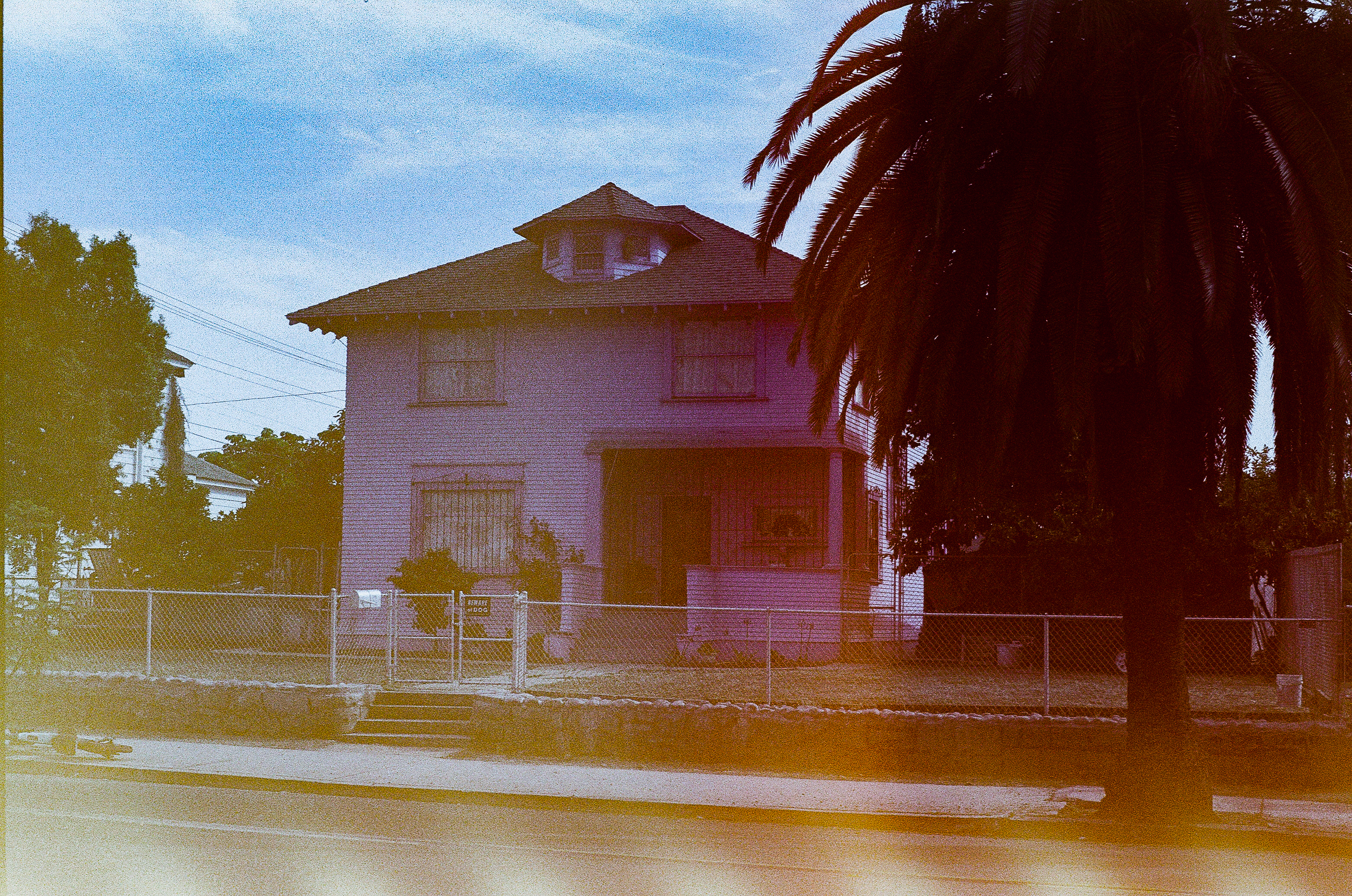 house-with-palm-tree