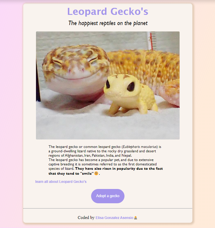 Gecko site screenshot