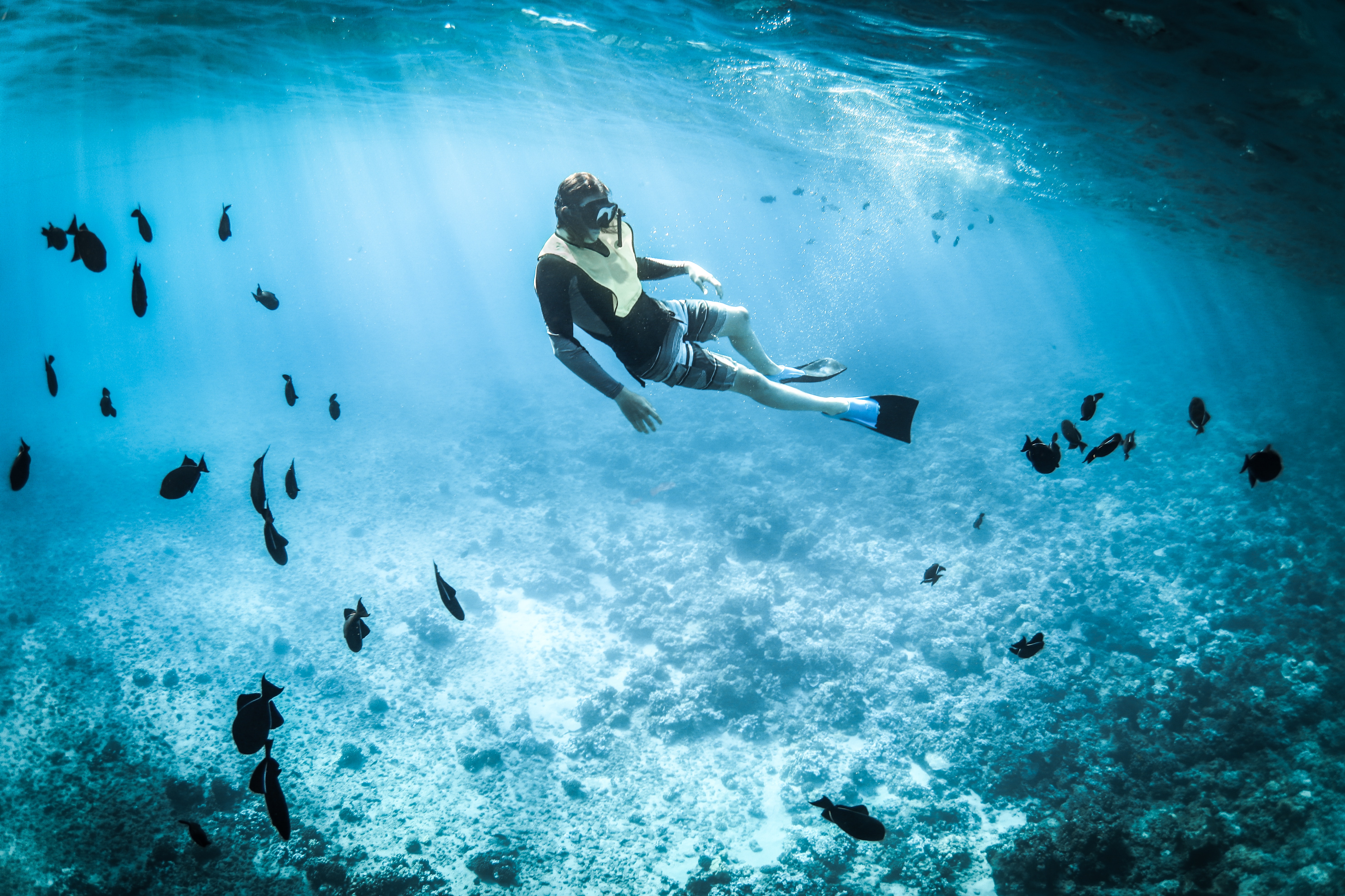 Snorkeling in the Sea