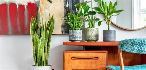 Workspace with plants