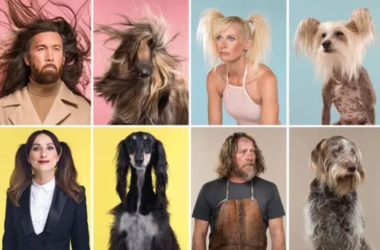 Dogs look like their owners