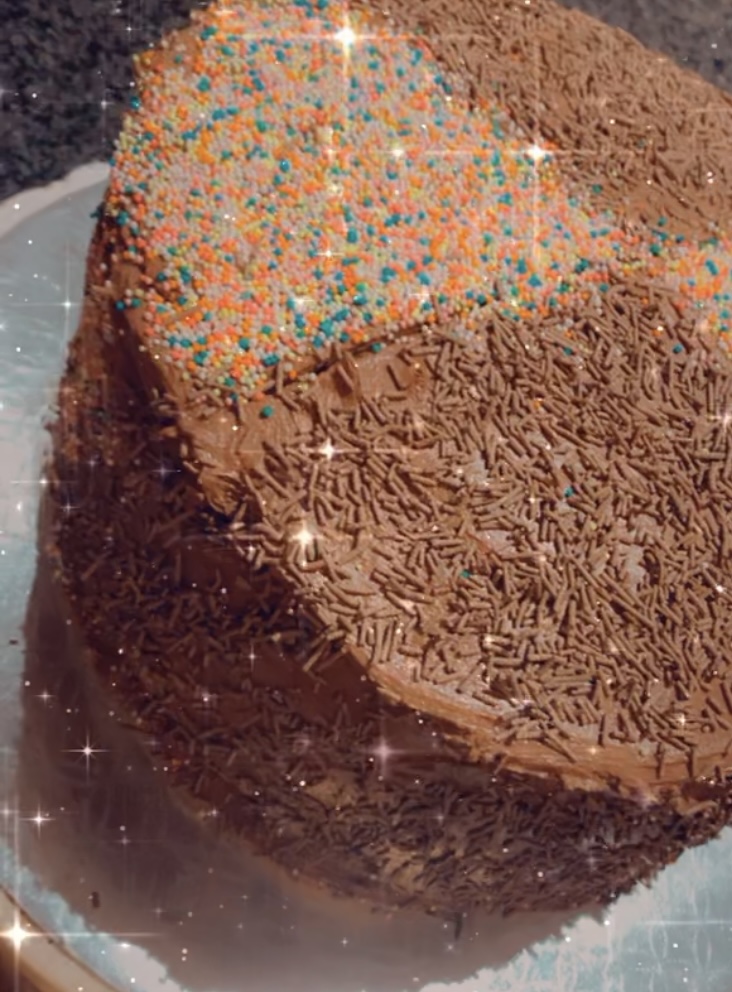 chocolate cake with sprinkles