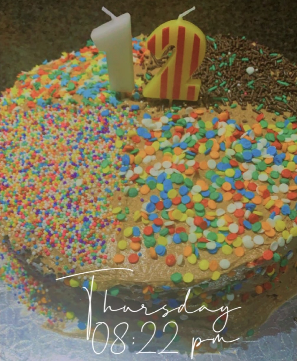 niece's 12th birthday cake