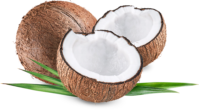 Coconut