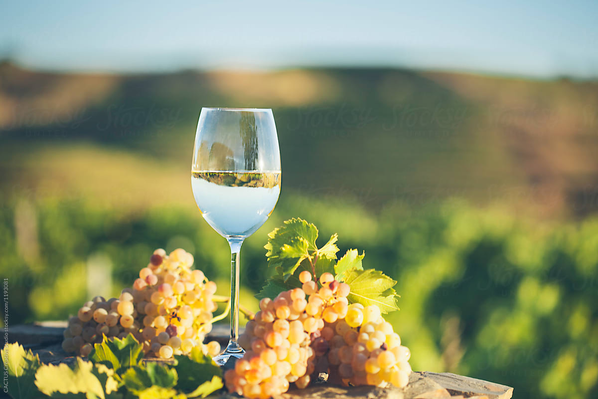 vineyard displaying grapes and a wine bottle