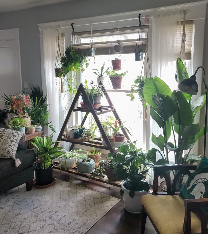 Living room with a lot of plants