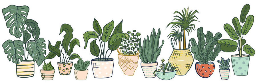 potted houseplants illustration