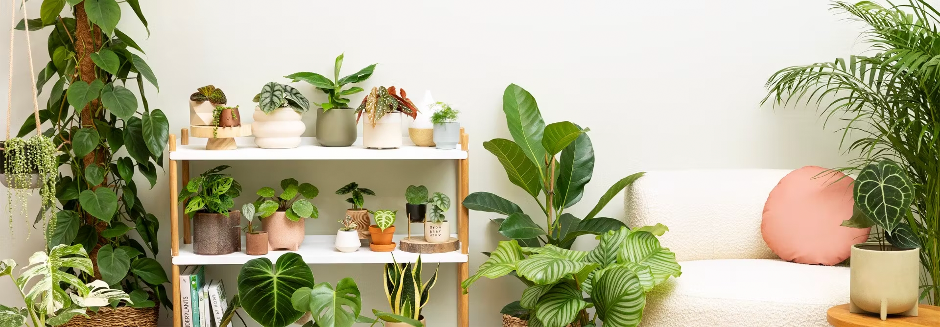 Living room with many houseplants