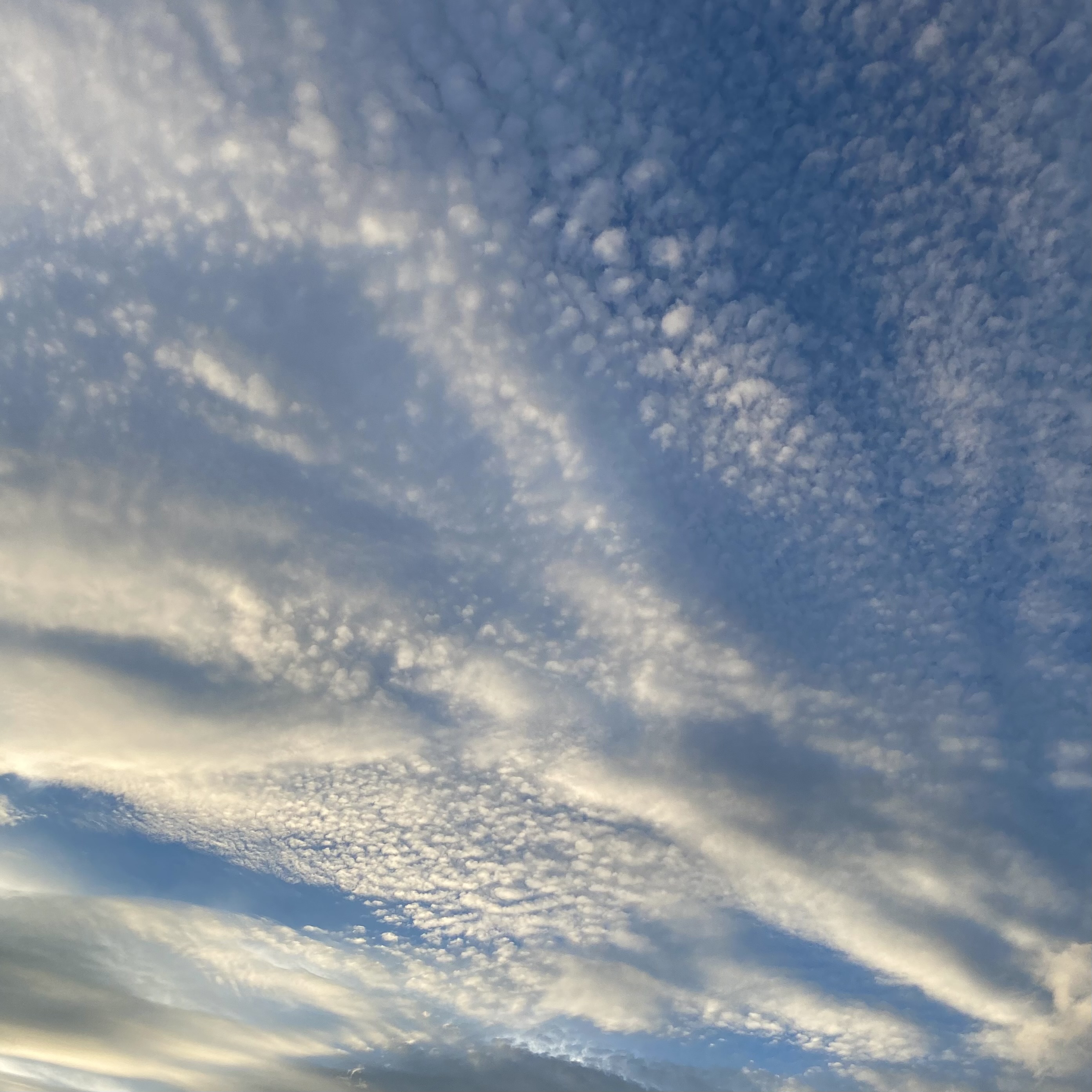 Blue sky and clouds in the evening