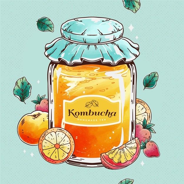 draw-imgage-of-kombucha-kit