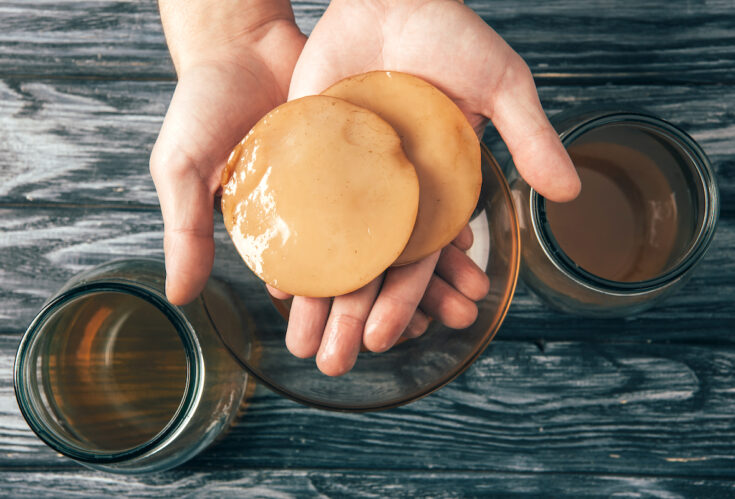 hands-holding-scoby