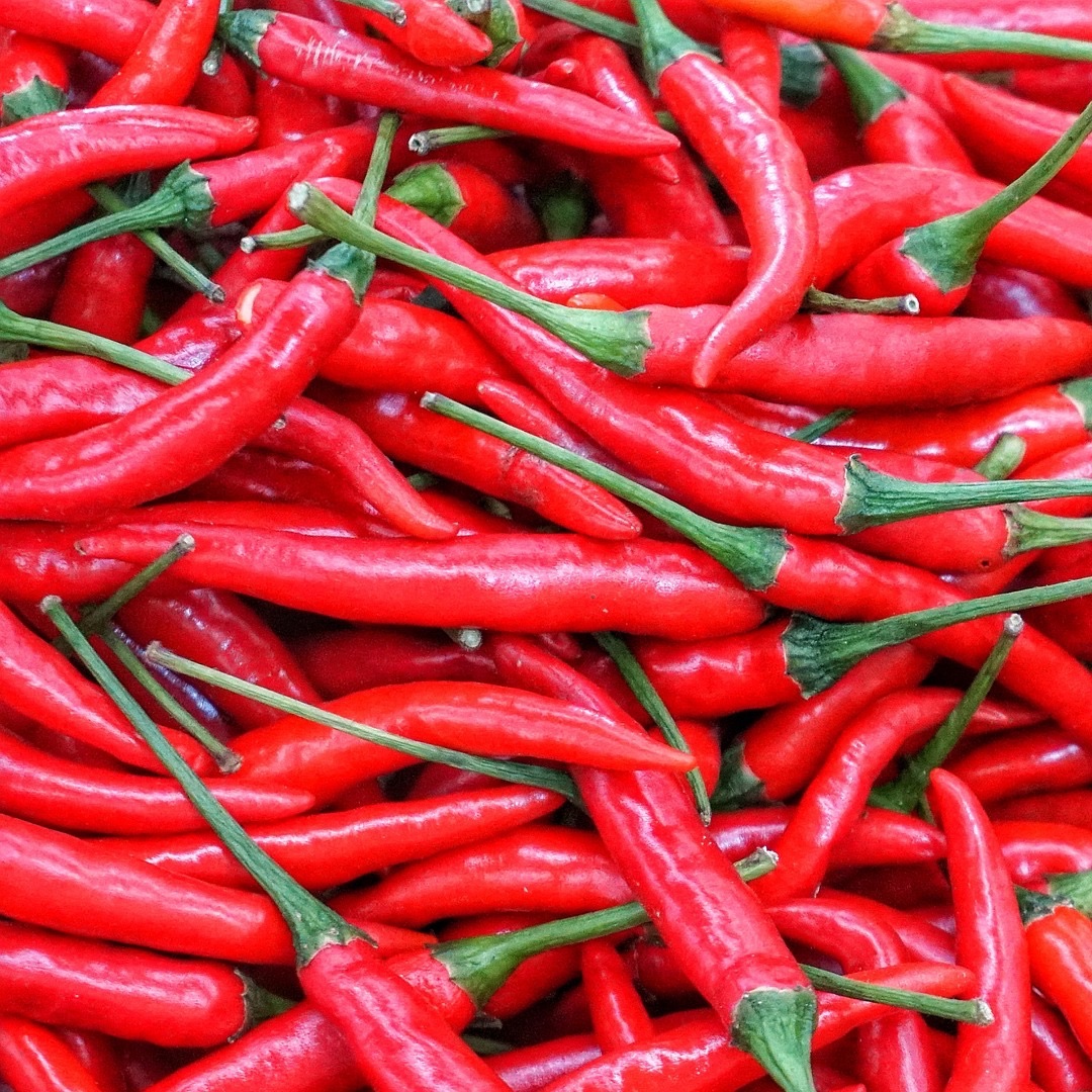 cayenne