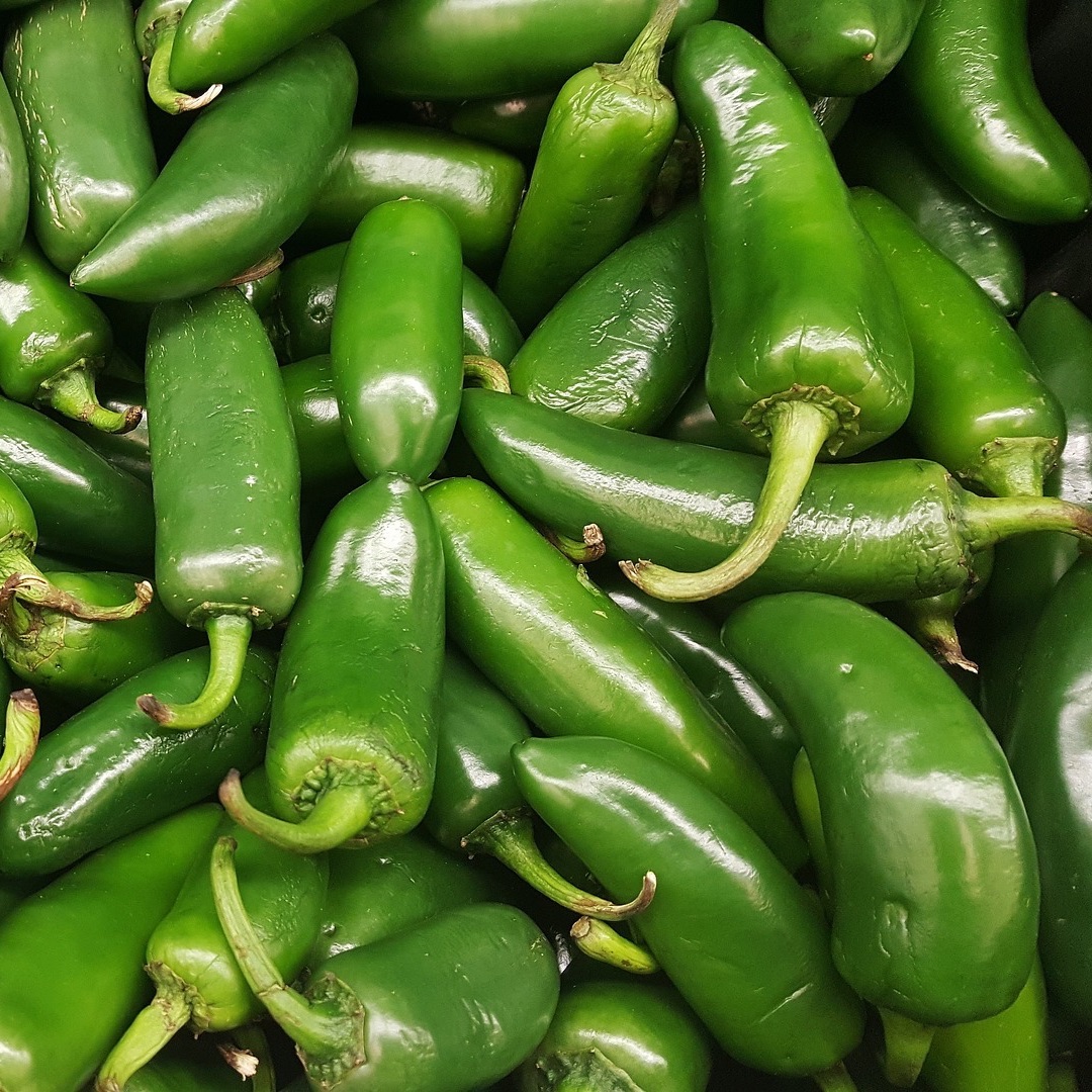jalapeno