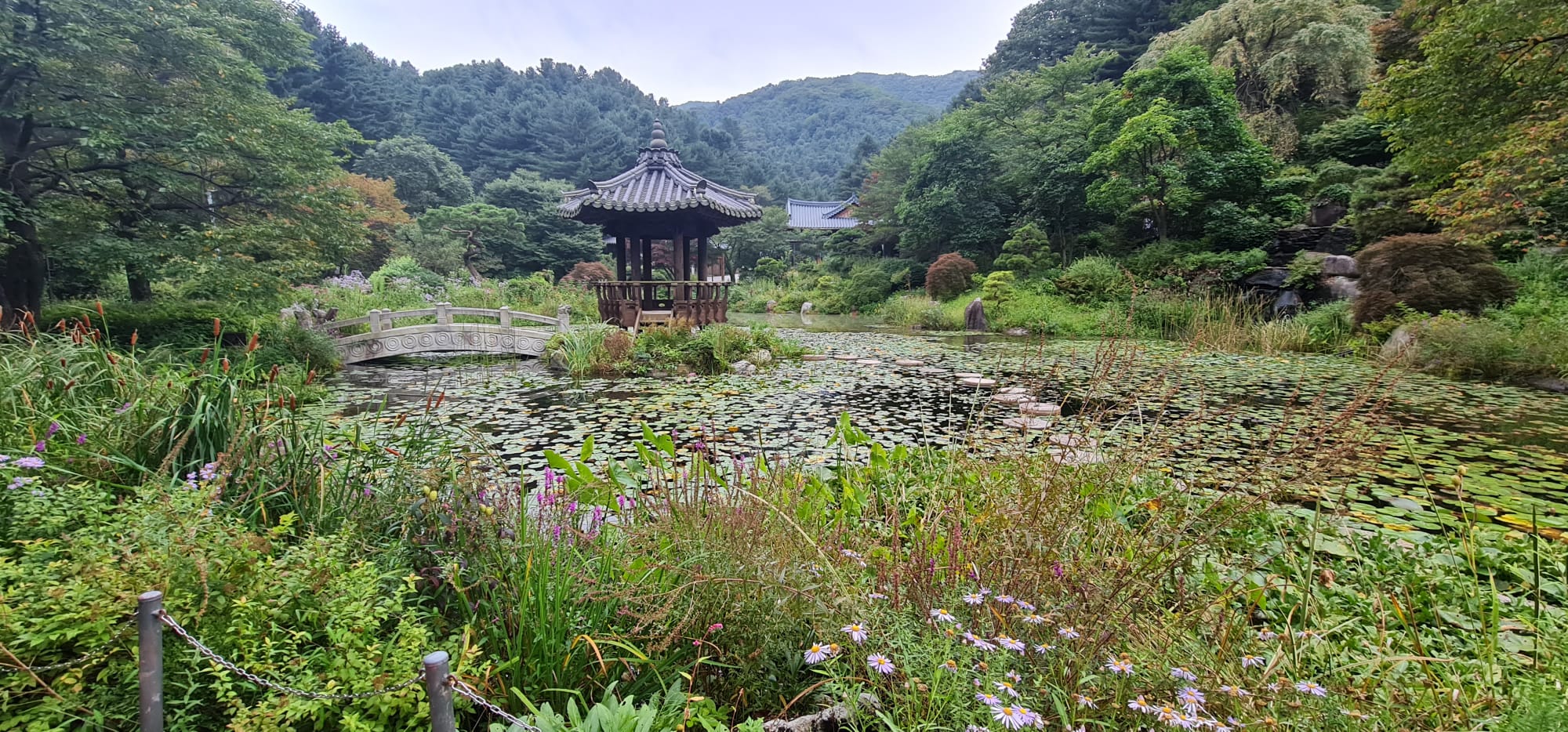 Pond in gardens of morning calm