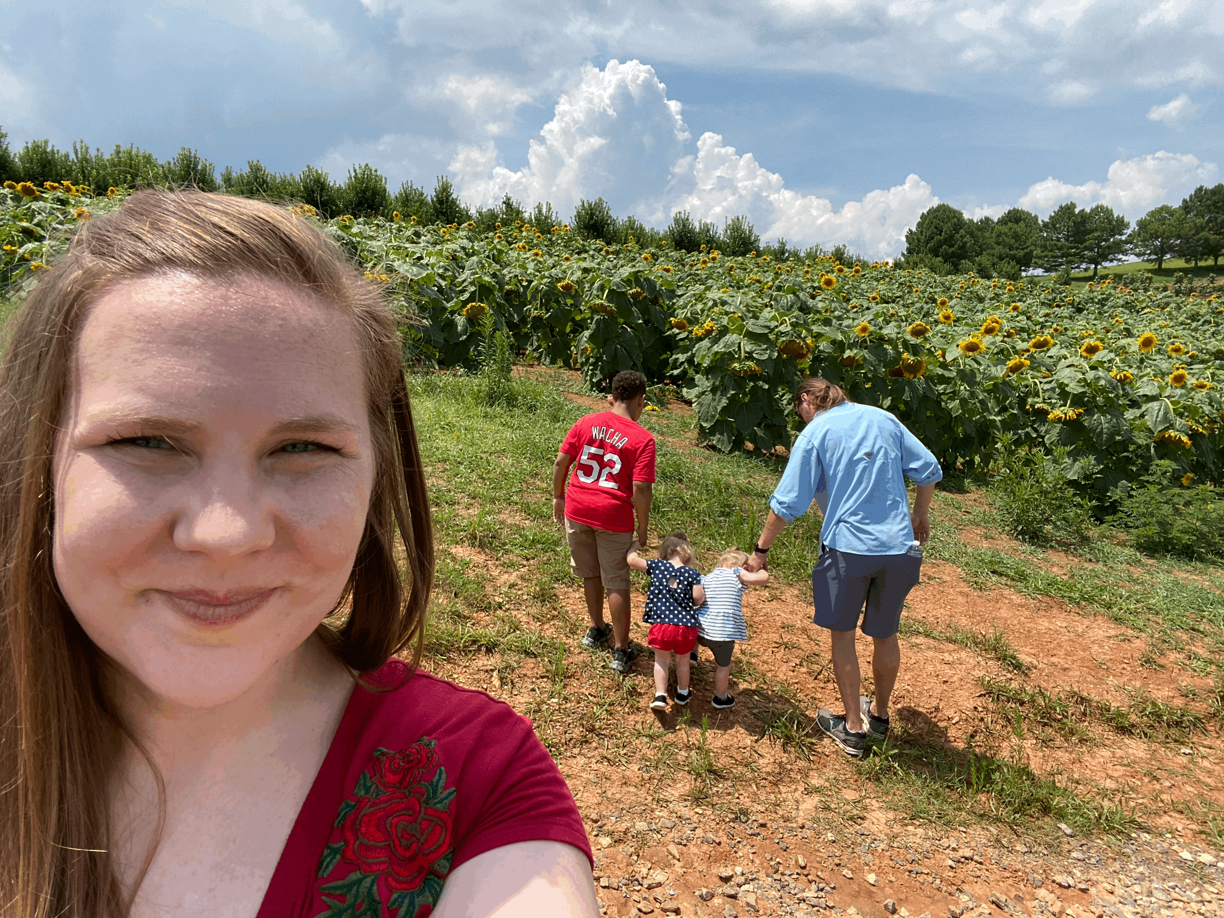 Walking with Sunflowers