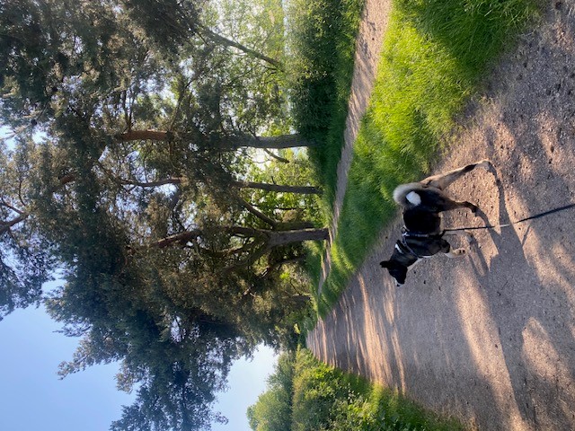 Smoki in the park
