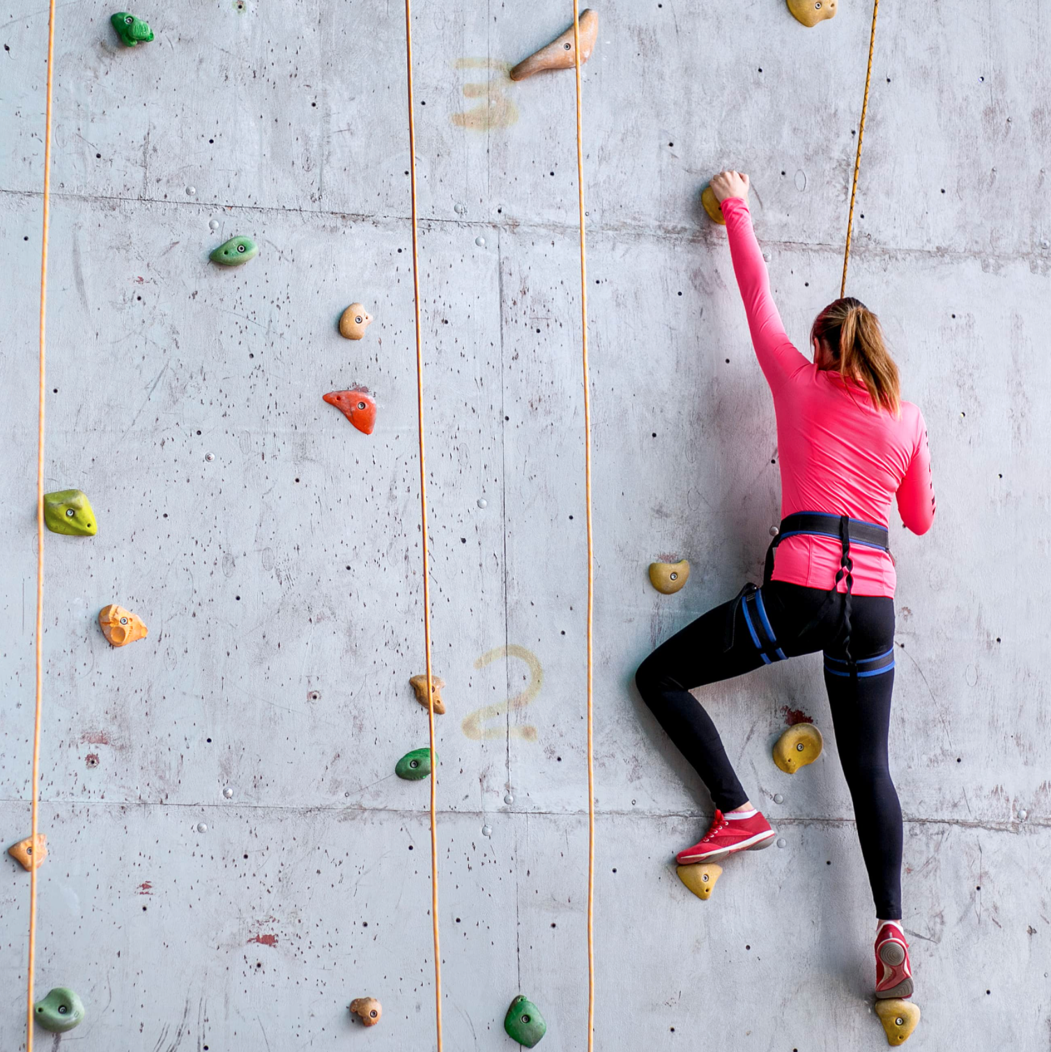 Step 4 how to find hobby image