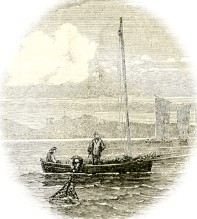 historical drawing Osyter catch Firth of Forth