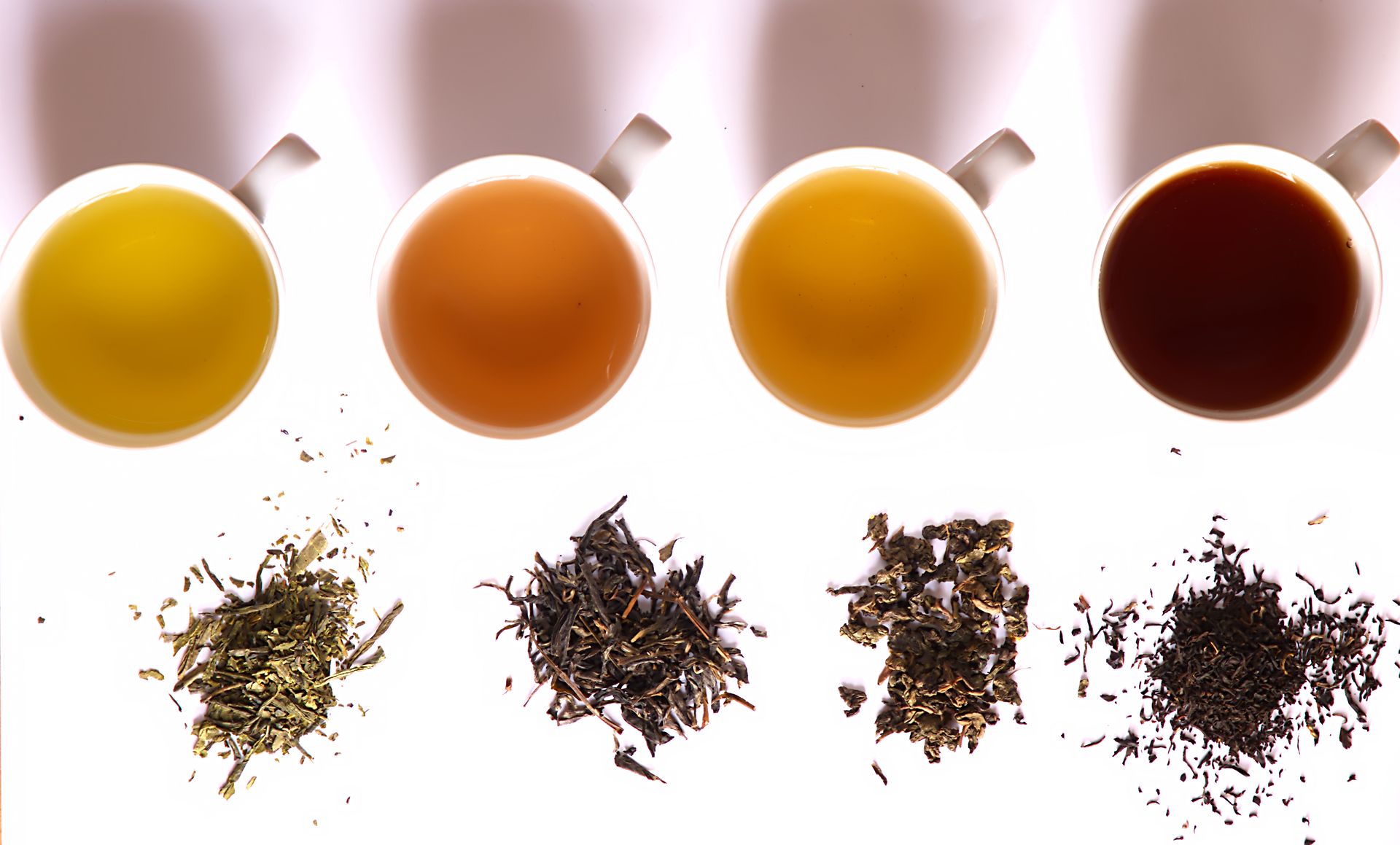 Tea tasting
