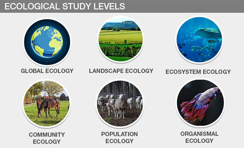 Types Of Ecology
