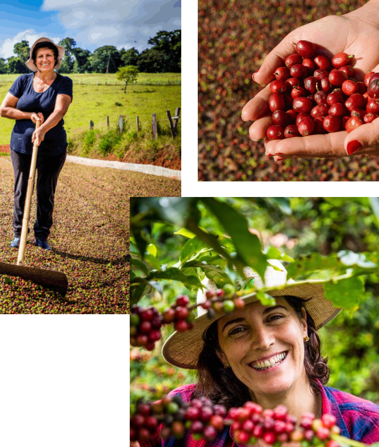 Women farmers from the brand 'Female Coffee', in Brazil