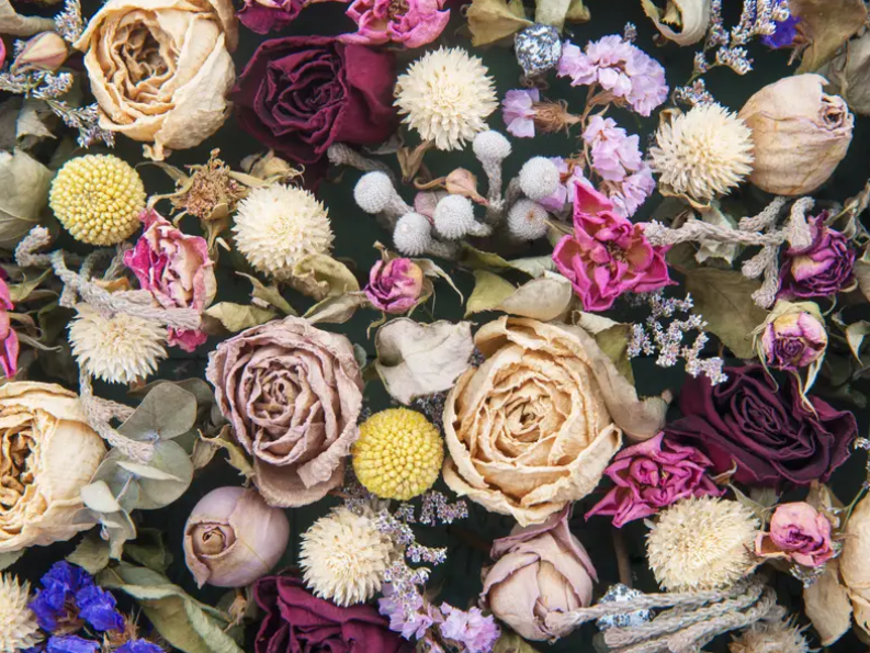 Dried flowers