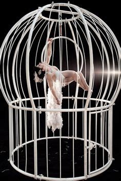 aerial hoop cage