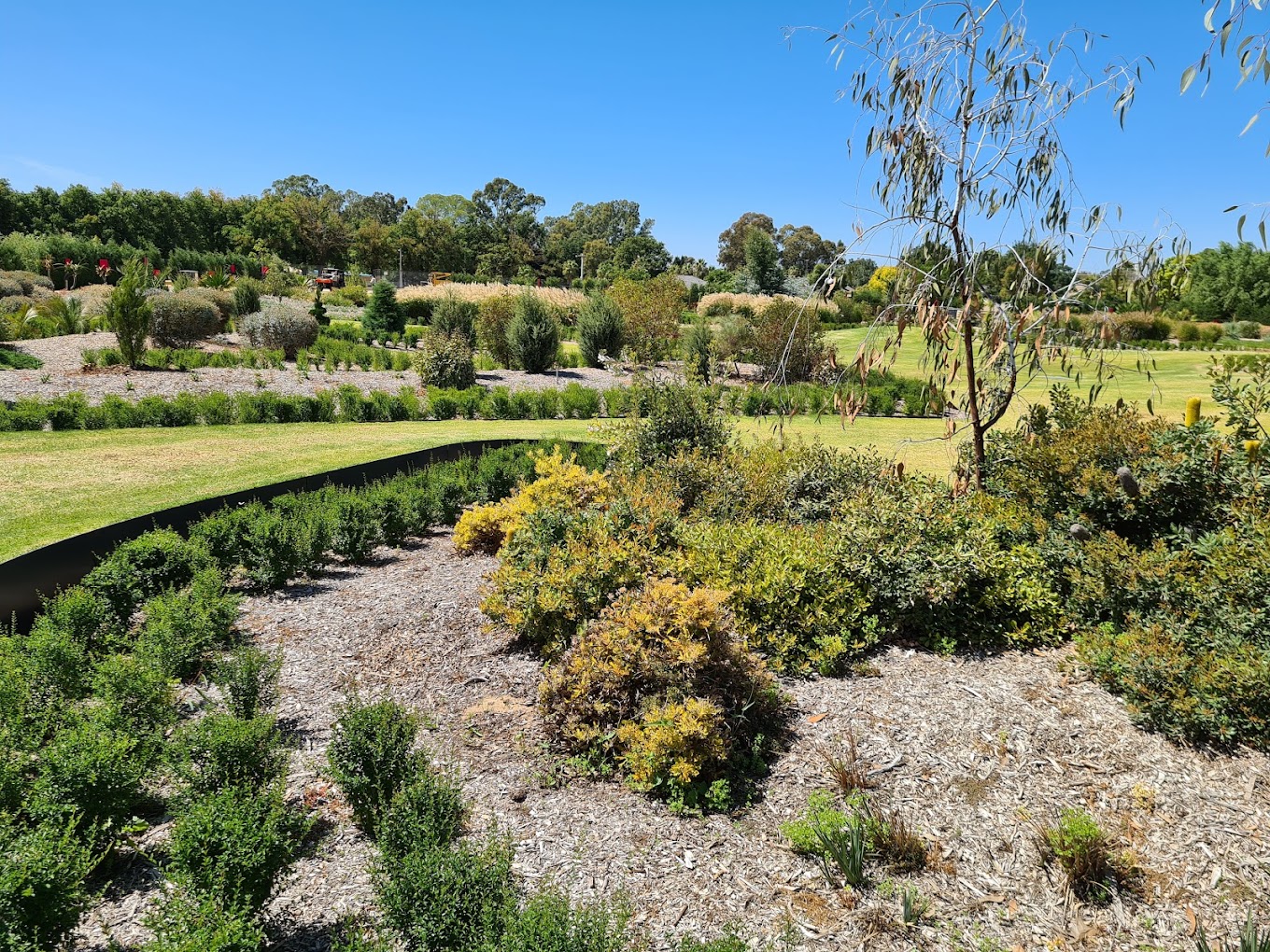 Bendigo Botanic Gardens